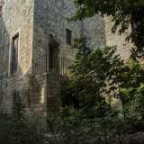 ...ci introduce in un cortile dove a dominare � la vegetazione incolta